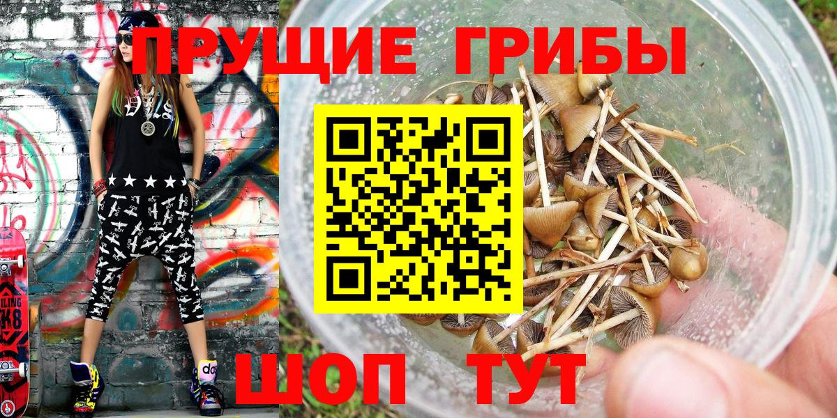 Псилоцибиновые грибы GOLDEN TEACHER Прокопьевск