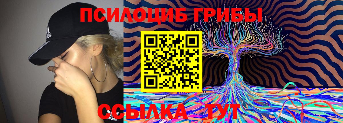 закладки  Вход с VPN  Прокопьевск  Псилоцибиновые грибы Magic Shrooms 
